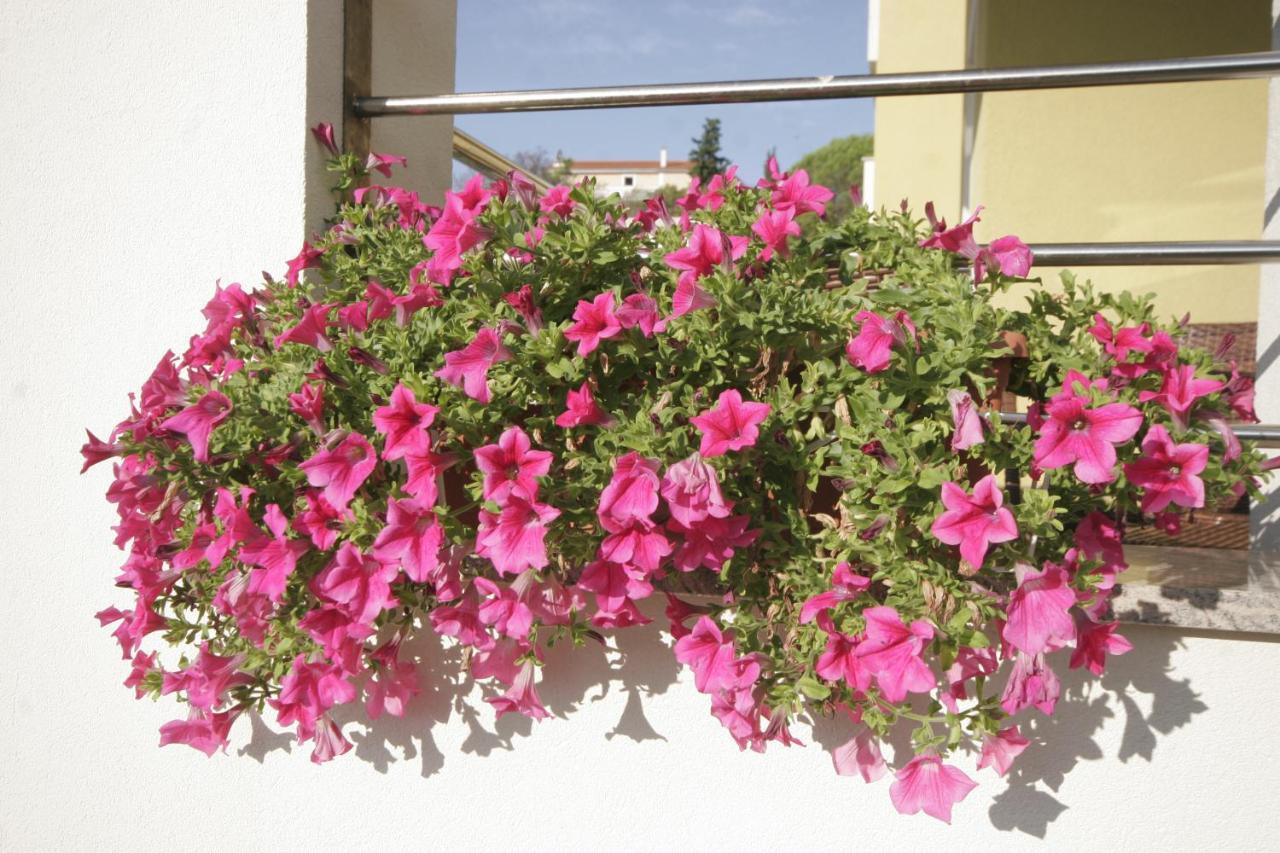 Apartments Salatic Krk Town Exterior foto