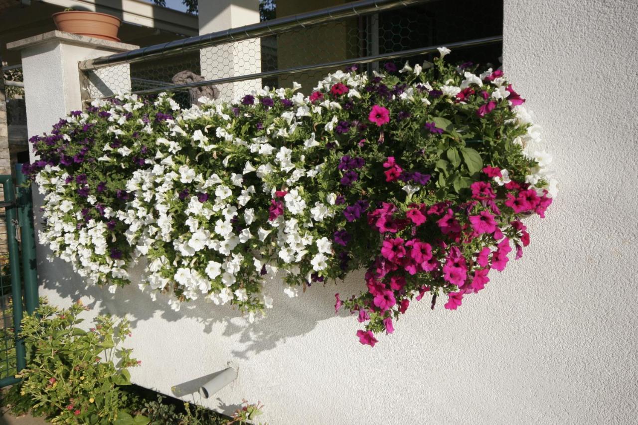 Apartments Salatic Krk Town Exterior foto